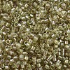 MIYUKI Delica Beads X-SEED-J020-DB1766-3