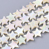 Freshwater Shell Beads Strands SHEL-N026-07A-1