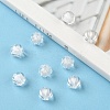 Transparent Acrylic Beads TACR-S089-10mm-01-6