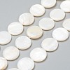 Natural Freshwater Shell Beads BSHE-I011-01A-02-1