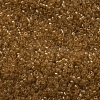 MIYUKI Delica Beads SEED-X0054-DB0119-3