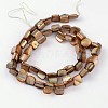 Shell Beads Strands PBB052Y-2