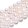 Natural Cultured Freshwater Pearl Beads Strands PEAR-N016-06A-4