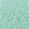 8/0 Glass Seed Beads SEED-A015-3mm-2213-2