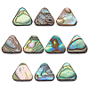 10Pcs Natural Abalone Shell/Paua Shell Beads SSHEL-BC0001-29-1