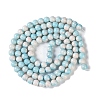 Baking Paint Glass Bead Strands LS-GLAA-H031-01B-10-3