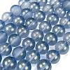 Frosted Transparent Glass Bead Strands GLAA-P065-10mm-10-2