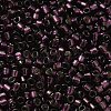 Glass Seed Beads X-SEED-S042-04B-30-3