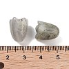 Natural Labradorite Beads G-A222-03G-3