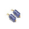 Natural Sodalite Pendants PW-WG1B1E4-06-1