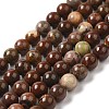 Natural Gemstone Beads Strands G-A215-01B-1