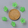 Transparent Acrylic Beads X-PL554-13-5