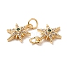 Rack Plating Brass Micro Pave Cubic Zirconia Pendants LS-KK-E081-10G-3