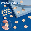 120Pcs 10 Sets Constellation Theme Golden Plated Alloy Charms FIND-PH0008-88-4