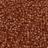 MIYUKI Delica Beads X-SEED-J020-DB0777-4