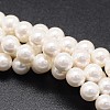 Shell Pearl Beads Strands X-BSHE-E008-6mm-12-1