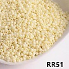 Opaque 11/0 Glass Seed Beads SEED-I013-2mm-RR51-1