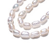 Natural Cultured Freshwater Pearl Beads Strands PEAR-N012-03D-4