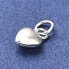 925 Sterling Silver Pendants STER-P057-07A-S-2