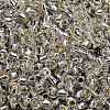 TOHO 3/0 Round Beads SEED-XTR03-0021-3