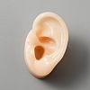 Silicone Ear Flexible Model Body Part Displays AJEW-WH0367-03A-1