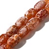 Natural Fire Crackle Agate(Dyed & Heated) Beads Strands G-H091-C03-01-1