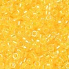 Glass Seed Beads X-SEED-S042-13A-03-3
