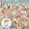 Mini Natural Shell Beads BSHE-PH0001-57A-4
