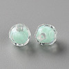 Transparent Acrylic Beads TACR-S152-04A-2