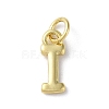 Rack Plating Brass Charms KK-P245-06G-I-1