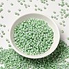 6/0 Opaque Colours Seep Glass Seed Beads SEED-F003-04A-06-2