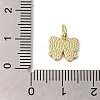 Rack Plating Brass Enamel Charms KK-B092-13G-02-3