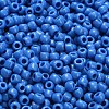 TOHO 6/0 Round Beads SEED-TR06-0043D-4