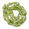 Natural Peridot Beads Strands G-H346-A01-01-3