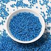 8/0 Transparent Glass Seed Beads SEED-F003-03B-02-2