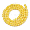 Natural Freshwater Shell Beads Strands SHEL-N003-24-B08-2