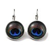 Eye Glass Leverback Earrings with Brass Earring Pins EJEW-Q798-01S-1