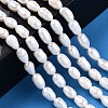Natural Cultured Freshwater Pearl Beads Strands PEAR-N012-04N-6