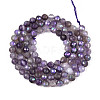 AB Color Plated Natural Amethyst Beads Strands G-T144-B07-04-2