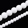 Opaque Solid Color Glass Beads Strands GLAA-T032-P4mm-02-5