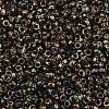 MIYUKI Round Rocailles Beads X-SEED-G010-RR4503-2