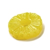 Resin Imitation Fruit Model DJEW-G047-01F-2