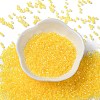 Glass Seed Beads SEED-S042-13A-03-2