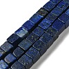 Natural Lapis Lazuli Beads Strands G-C084-E05-01-1