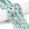 Natural Amazonite Beads Strands G-G980-36B-2