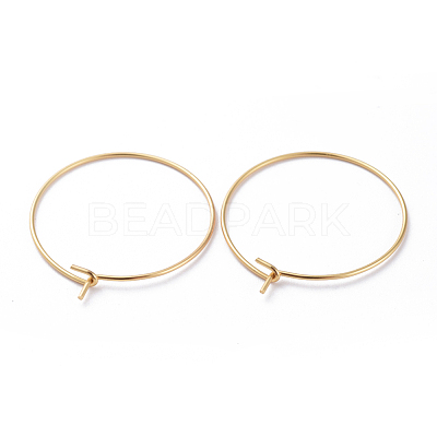 316 Surgical Stainless Steel Hoop Earring Findings X-STAS-J025-01C-G-1
