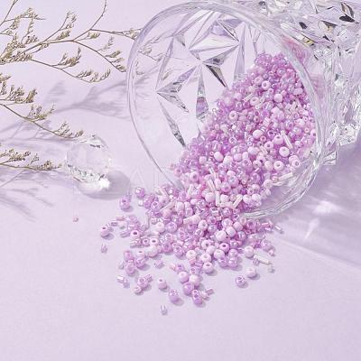 Glass Seed Beads X-SEED-S059-009-1