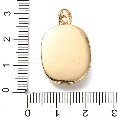 Golden Tone Brass Enamel Pendants KK-CBADFD5-03G-D-1