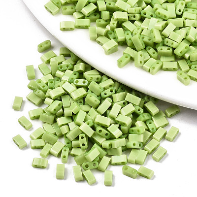 FGB 2-Hole Glass Seed Beads X-SEED-S031-M-SH44-1