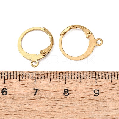 Ion Plating(IP) 304 Stainless Steel Leverback Earring Findings STAS-E103-06G-1